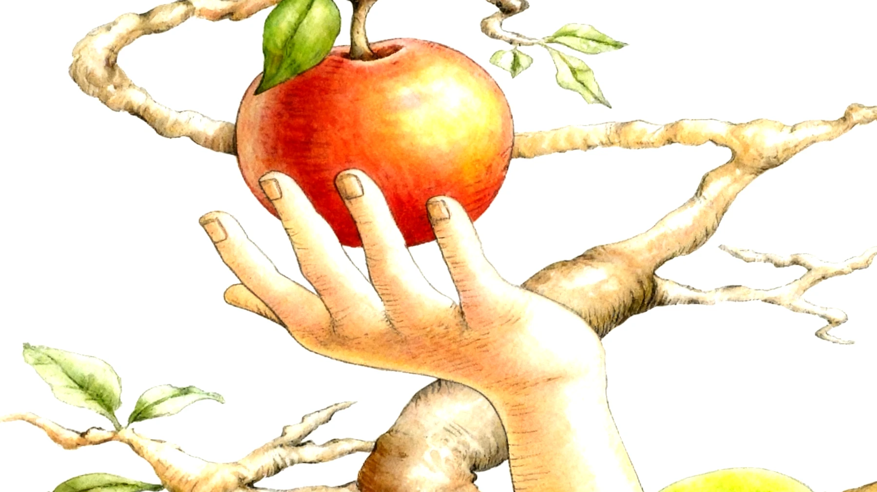 Forbidden Fruit2025-11-24T07:04:10.840Z"