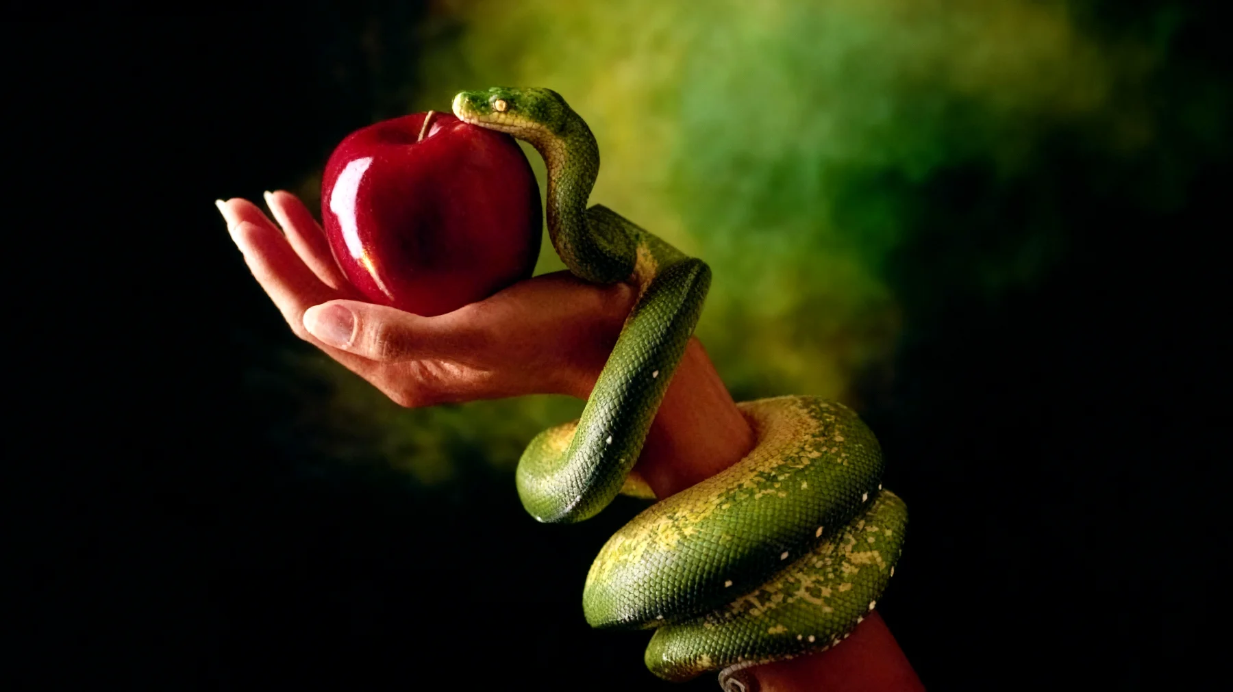 Forbidden Fruit2025-12-19T10:45:52.511Z"