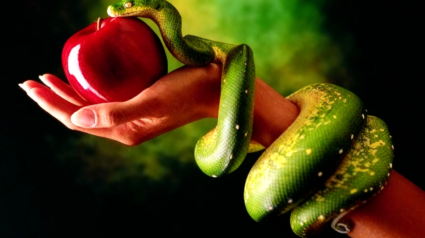 Forbidden Fruit2025-12-30T10:48:48.446Z"