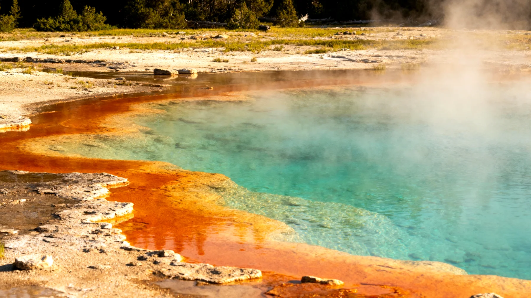 Parco Nazionale di Yellowstone"