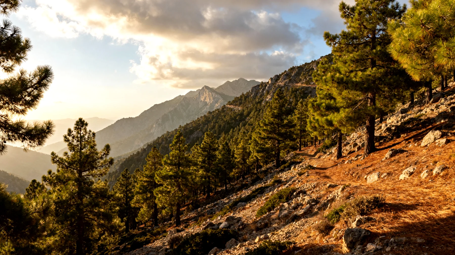 Troodos Mountains"