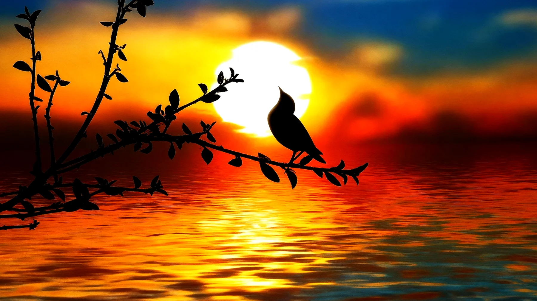 Beautiful 2026-01-04T10:35:45.790Z"