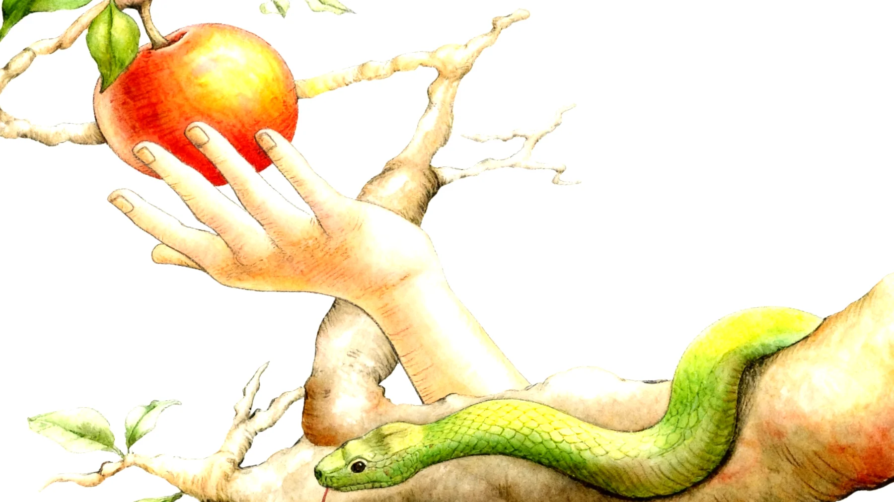 Forbidden Fruit2026-01-02T10:49:10.092Z"