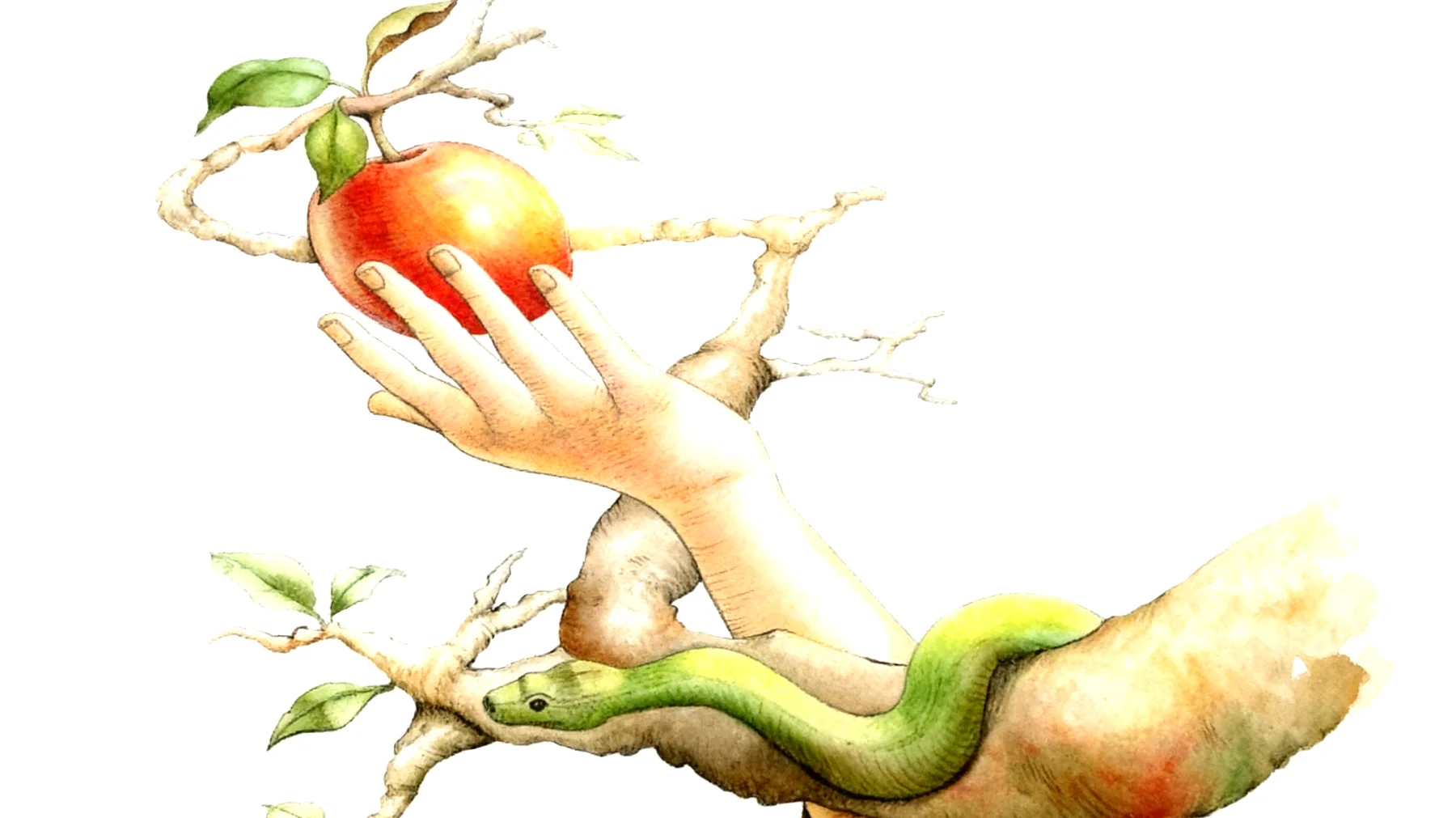 Forbidden Fruit2026-01-03T10:49:32.550Z"