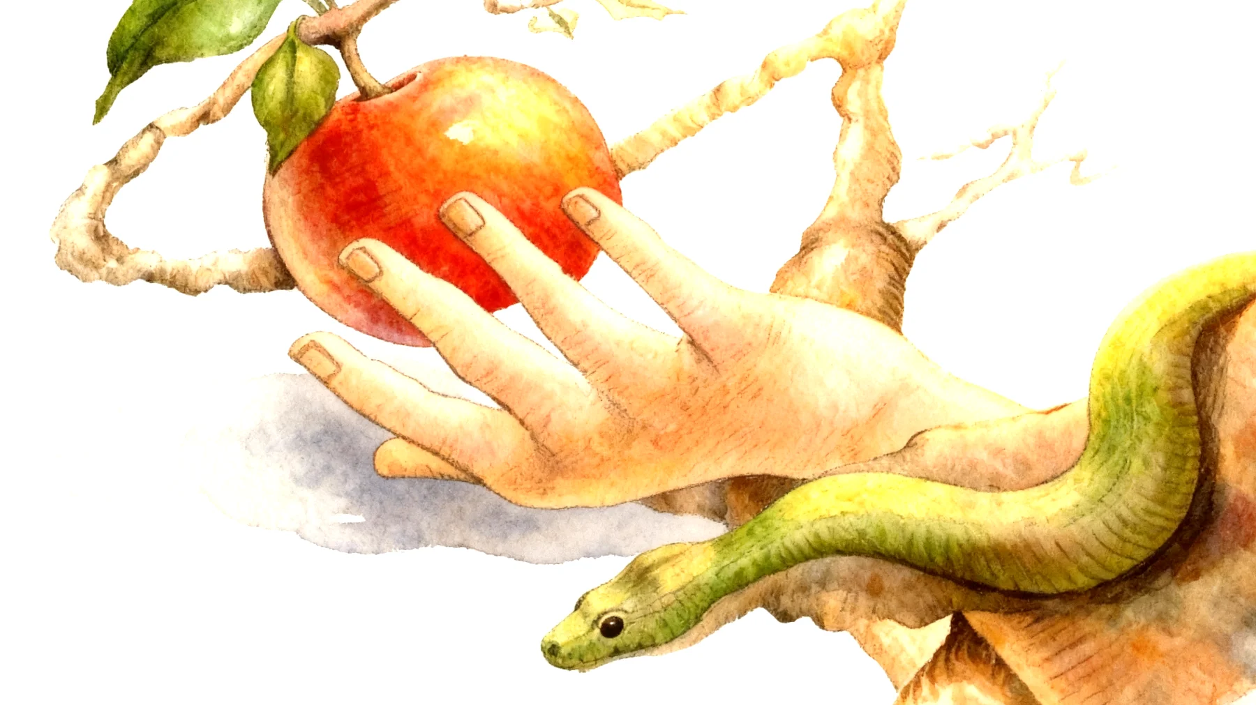 Forbidden Fruit2026-01-04T10:56:32.199Z"