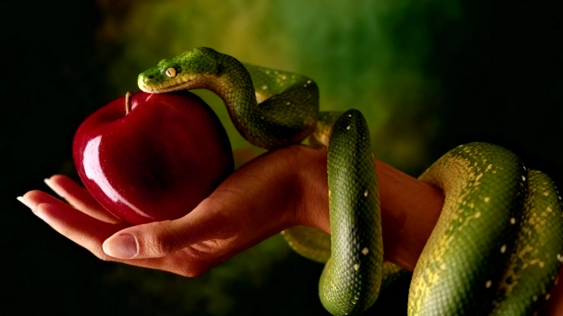 Forbidden Fruit2026-01-16T10:49:38.629Z"